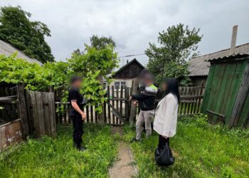 Подработал и обокрал: в Торезе задержали похитителя садового триммера