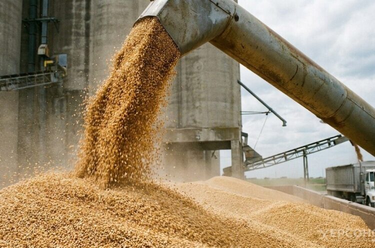 Агрегатор сельхозпродукции создадут в Херсонской области