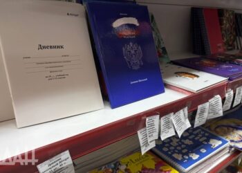 ДНР переходит на всероссийский электронный дневник «Моя школа»