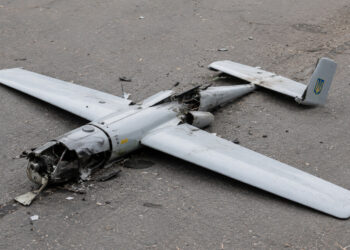 **Водолацкий:** «Барс-Луганск» будет сбивать БПЛА на трассах ЛНР