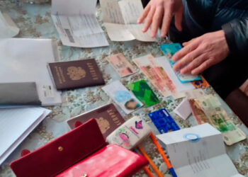 6 лет за пять объектов: дончанку осудили за мошенничество